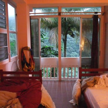 Casa Cubuy Ecolodge - View of room - Bed & Breakfast Near Me - Río Blanco, Puerto Rico