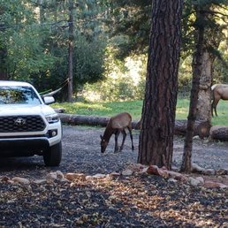 Cabins at Creekside - Vacation Rentals Near Me - Payson, Arizona