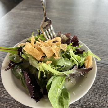 Red Dragon Asian Bistro - Lunch Mixed Green Salad - Asian Fusion Near Me - Carlsbad, California Red Dragon Asian Bistro - Lunch Mixed Green Salad - Asian Fusion Near Me - Carlsbad, California