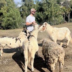 Cheyenne Arabians