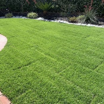 Ortega's Lawn Care - After. (Looking SE.) - Tree Services Near Me - Oceanside, California Ortega's Lawn Care - After. (Looking SE.) - Tree Services Near Me - Oceanside, California