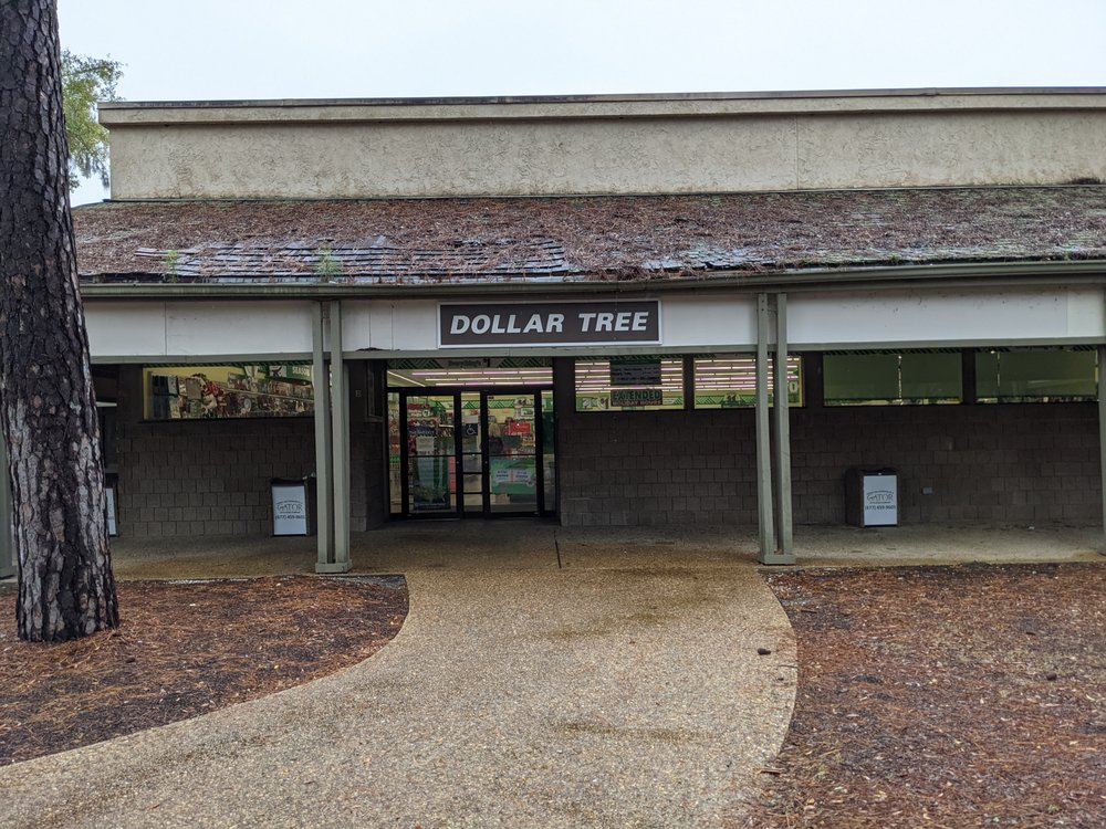 DOLLAR TREE Updated August 2024 435 William Hilton Pkwy, Hilton