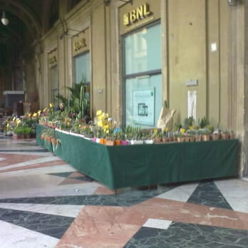 Mercato delle Piante - Florists Near Me - Florence, FI