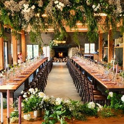 The Stables Matakana - Forestry Wedding