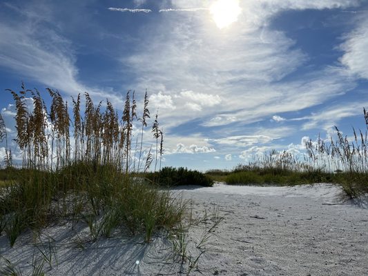 Bean Point Beach by null