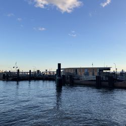 NY Waterway Pier 11/Wall Street Ferry Terminal - Pier 11