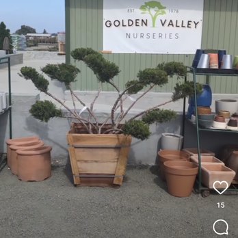 Golden Valley Nurseries - New Location - Nurseries & Gardening Near Me - Tracy, California