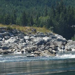 Campbell River Whale Watching - Seals on the rocks