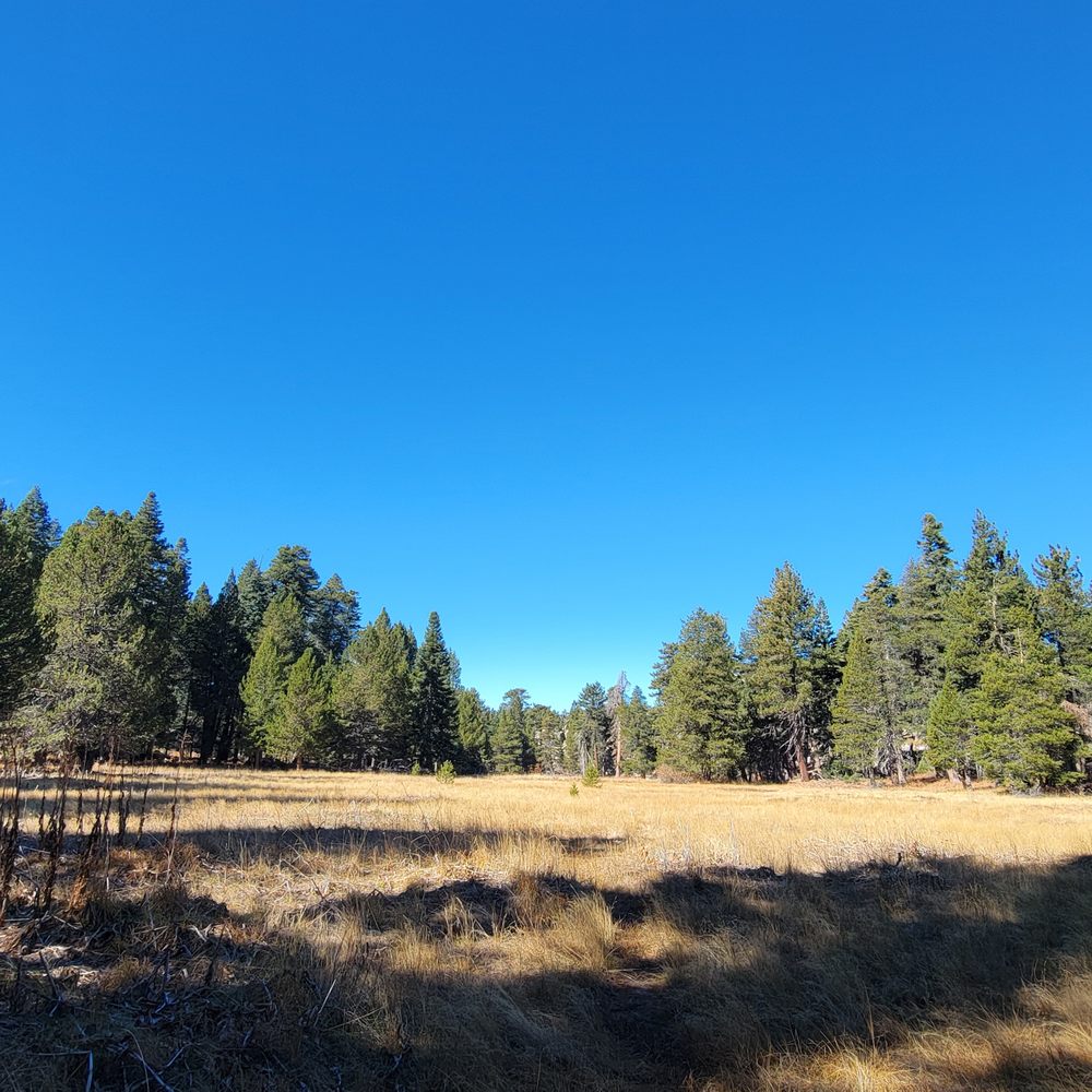 Castle Rock Trail - Hiking Near Me - Big Bear Lake, California