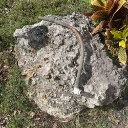 Reliable Plumbing Services