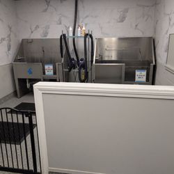 user provided Dog Supplies photo