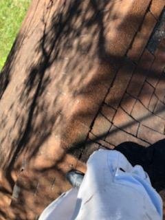 Slide of Bonilla Painting, Roofing and More