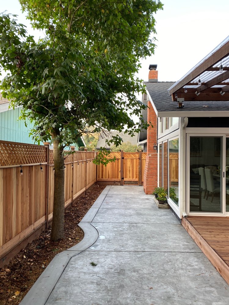 Precision Tree Care - tree service in Pacifica, CA