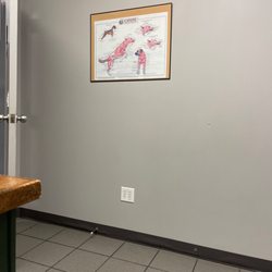 Brisbane Veterinary Services