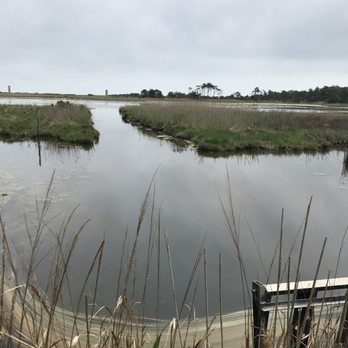 Cape Henlopen State Park - Parks Near Me - Lewes, Delaware
