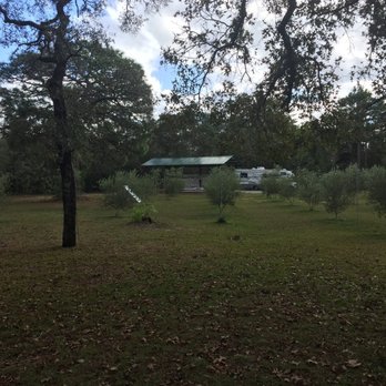 The Olive Grove - Venues & Event Spaces Near Me - Brooksville, Florida The Olive Grove - Venues & Event Spaces Near Me - Brooksville, Florida