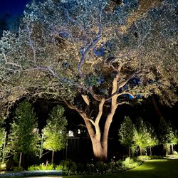 Blooming Colors Nursery - Trees, Turf, Stone work, Flowers, Shrubs, Lights, Pool, Landscaping.