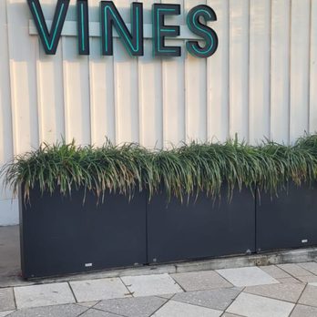 Sixty Vines - Wine Bars Near Me - Winter Park, Florida Sixty Vines - Wine Bars Near Me - Winter Park, Florida