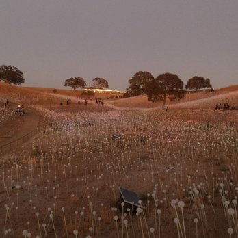 Sensorio - Slowly lights begin to be noticeable - Art Galleries Near Me - Paso Robles, California