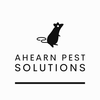 Ahearn Pest Solutions - Pest Control Near Me Ahearn Pest Solutions - Pest Control Near Me