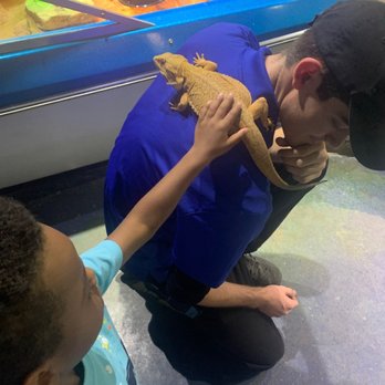 Austin Aquarium - Aquariums Near Me - Austin, Texas Austin Aquarium - Aquariums Near Me - Austin, Texas