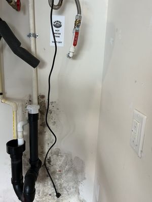 Rainier Custom Plumbing Logo