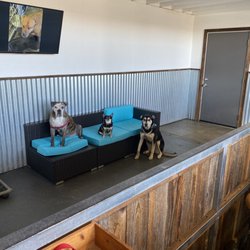 The Tail Haven - San Rafael - Pals