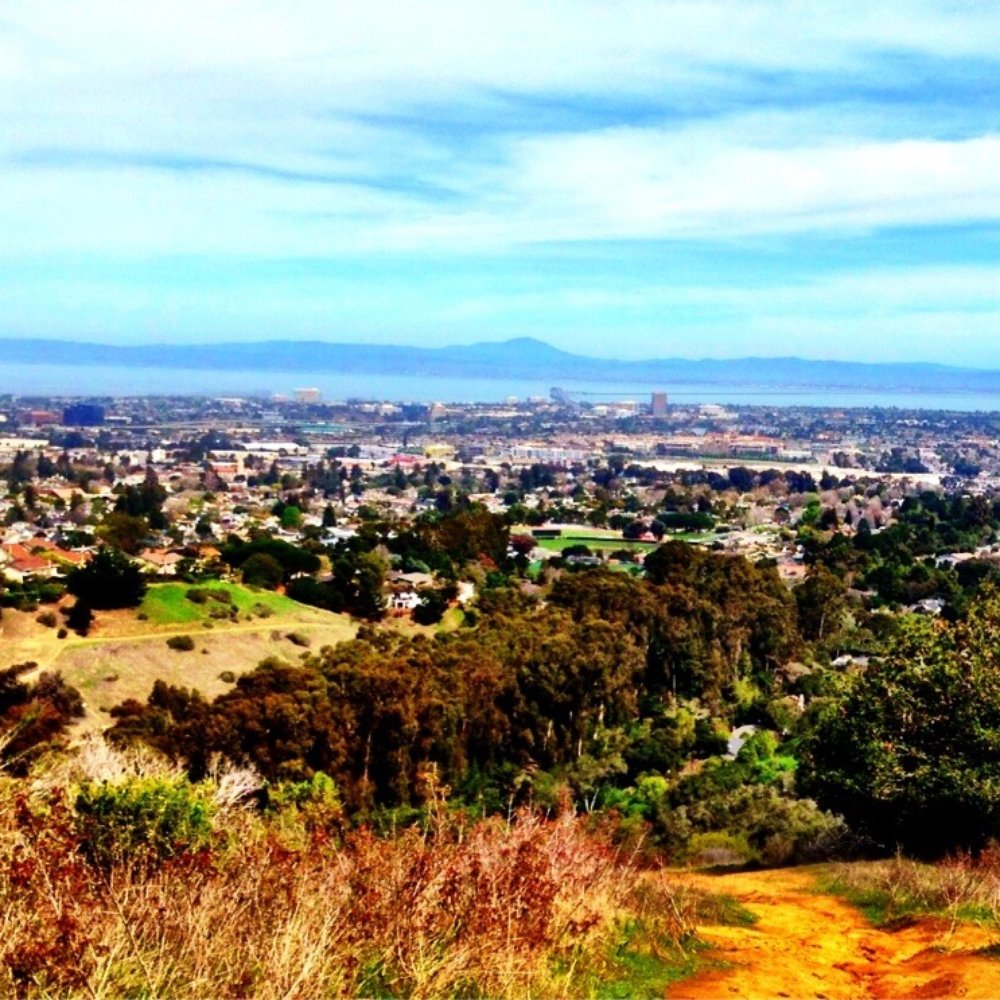 Laurelwood Park/Sugarloaf - Beautiful views of San Mateo! - Parks Near Me - San Mateo, California Laurelwood Park/Sugarloaf - Beautiful views of San Mateo! - Parks Near Me - San Mateo, California