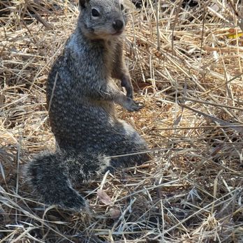 Guadalupe Oak Grove Park - Parks Near Me - San Jose, California