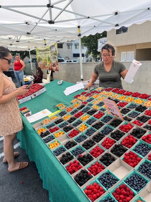 Toluca Lake Farmers Market by null