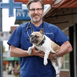 Kerrisdale Veterinary Hospital