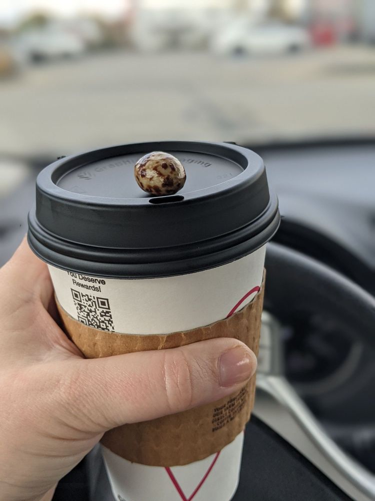 THE HUMAN BEAN INDIANAPOLIS Updated July 2024 38 Photos & 53 Reviews 5405 N Keystone Ave