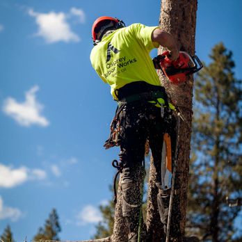 Osprey Arbor Works - Tree Services Near Me - Bend, Oregon