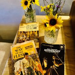 Jacumba Hot Springs Hotel - Reading material