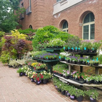 Filoli - Nursery with plants for sale - Botanical Gardens Near Me - Woodside, California Filoli - Nursery with plants for sale - Botanical Gardens Near Me - Woodside, California