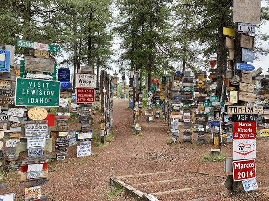 Sign Post Forest by null