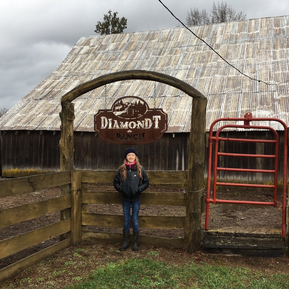 Diamond T Guest Ranch - Ranches Near Me - Clark Fork, Idaho Diamond T Guest Ranch - Ranches Near Me - Clark Fork, Idaho