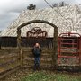Photo of Diamond T Guest Ranch