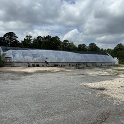 Carolina Seasons Nursery