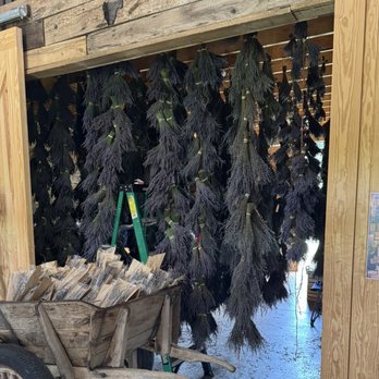 Twin Creeks Lavender - Hanging lavender for drying. - Pick Your Own Farms Near Me - Williamston, South Carolina Twin Creeks Lavender - Hanging lavender for drying. - Pick Your Own Farms Near Me - Williamston, South Carolina