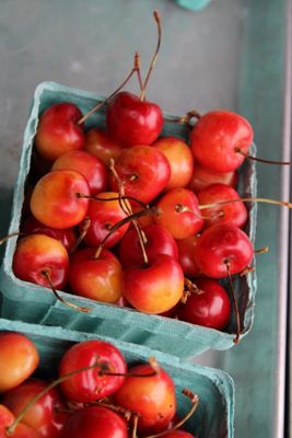 Larsen Lake Blueberry Farm by null