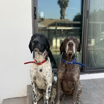 McGrath Veterinary Center - Red and Blue (left to right) - Veterinarians Near Me - Sherman Oaks, California McGrath Veterinary Center - Red and Blue (left to right) - Veterinarians Near Me - Sherman Oaks, California