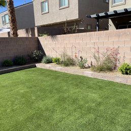 Back Yard Back Yard