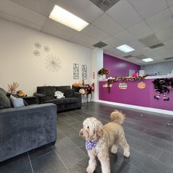Pampered Pups Grooming