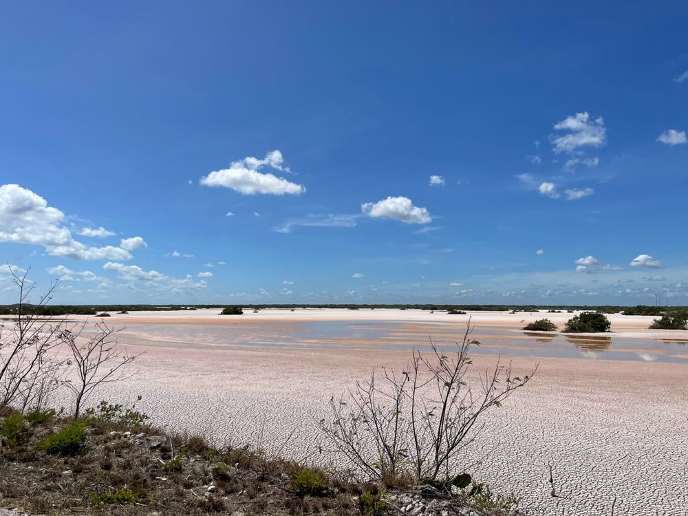 LAGUNA ROSADA 26 Photos Carretera Puerto Progreso Dzemul, Telchac
