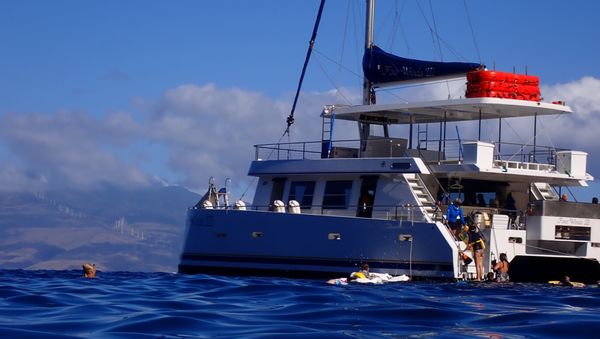 Four Winds Molokini Maui Snorkel Tour by null