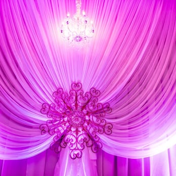 Thanh Thanh - Custom and detailed bavkdrop - Vietnamese Near Me - Arlington, Texas Thanh Thanh - Custom and detailed bavkdrop - Vietnamese Near Me - Arlington, Texas