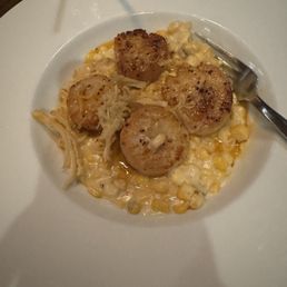 Seared scallops Seared scallops