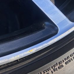 Tire Kingdom gift card