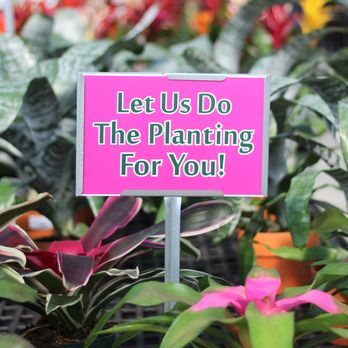 Cornelius Nursery - Nurseries & Gardening Near Me - Spring, Texas